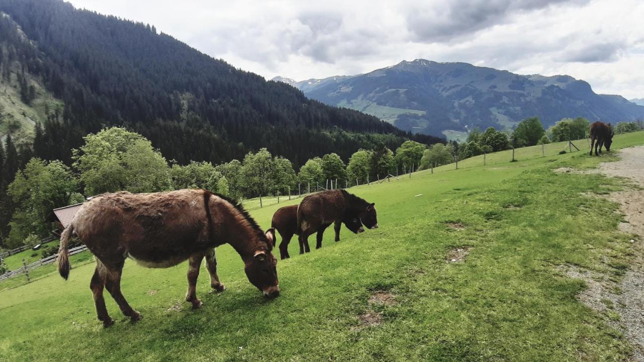 Privatzimmervermietung Foidlbauer Oberndorf in Tirol Ngoại thất bức ảnh